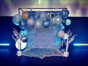 Frozen backdrop