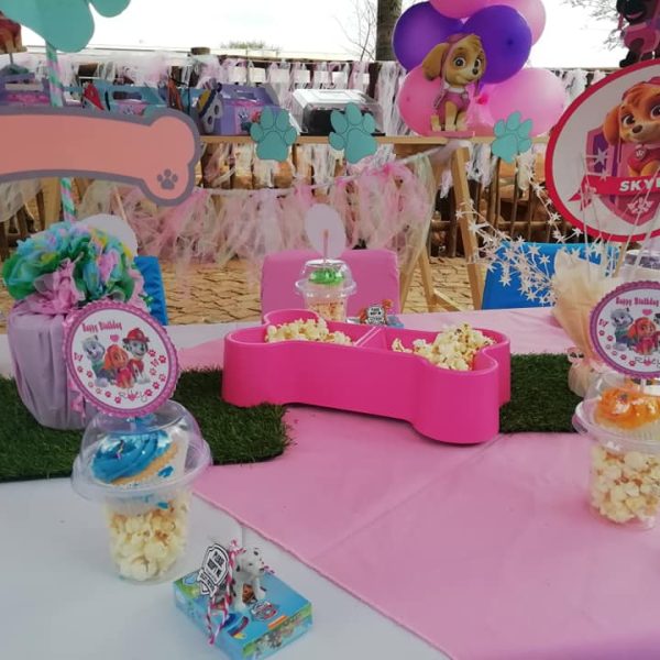 Paw Patrol party table